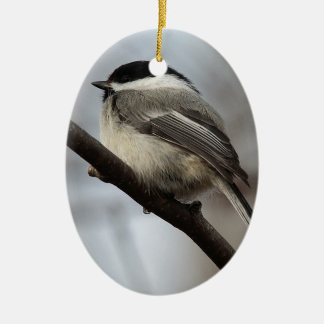 Adorno De Cerámica Chickadee capsulado negro (Frente)