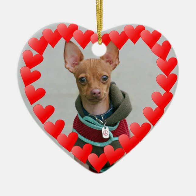 Adorno De Cerámica Chihuahua (Frente)