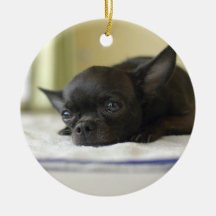 Adorno De Cerámica chihuahua black