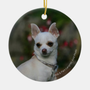 Adorno De Cerámica Chihuahua blanca