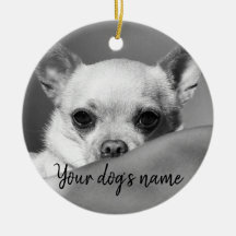 Chihuahua blanco y negro personalizada