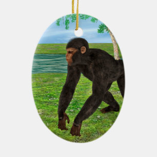 Adorno De Cerámica Chimpancé