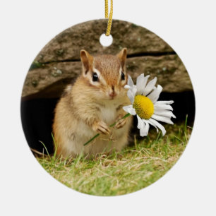 Adorno De Cerámica Chipmunk adorable del bebé con la margarita