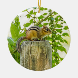 Adorno De Cerámica Chipmunk en un post de cerca