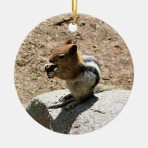 Adorno De Cerámica Chipmunk en Yosemite, California