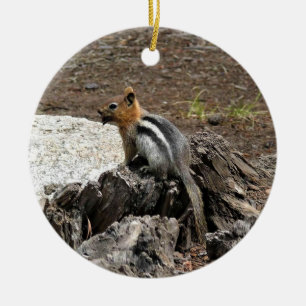 Adorno De Cerámica Chipmunk en Yosemite, California