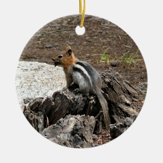 Adorno De Cerámica Chipmunk en Yosemite, California (Frente)
