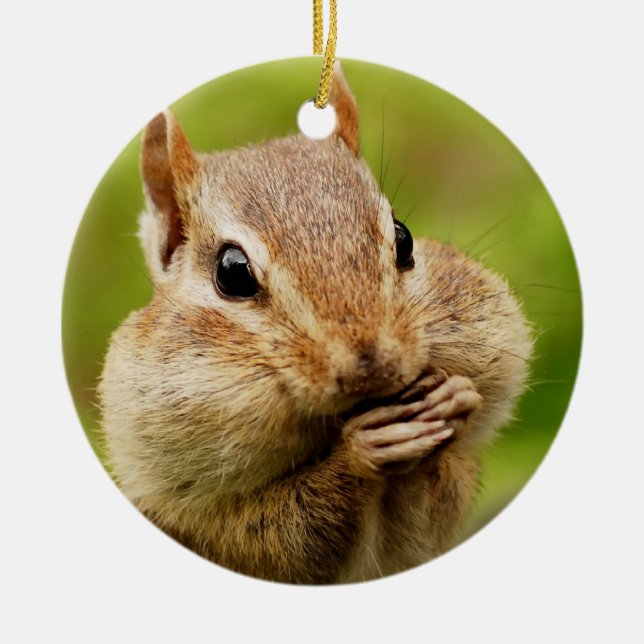 Adorno De Cerámica Chipmunk fresco lindo (Frente)