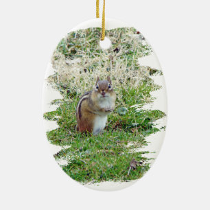 Adorno De Cerámica Chipmunk oriental