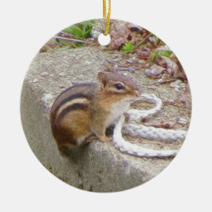 Adorno De Cerámica Chippie el Chipmunk investiga una cuerda