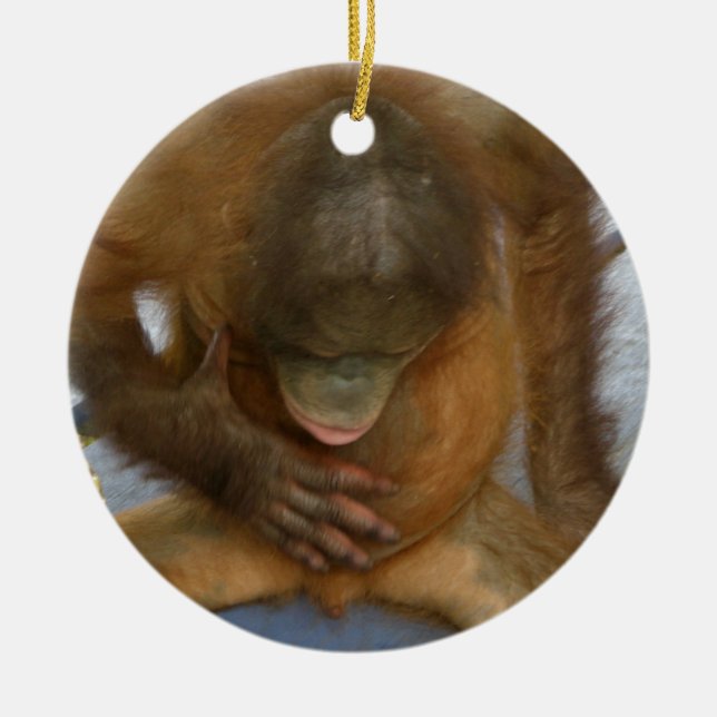 Adorno De Cerámica Chistes masculinos de la anatomía (Frente)