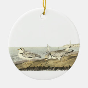 Adorno De Cerámica Chorlito aflautado, Juan Audubon