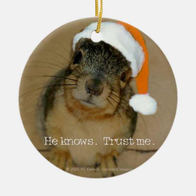 Adorno De Cerámica Christmas Ornament (Frente)