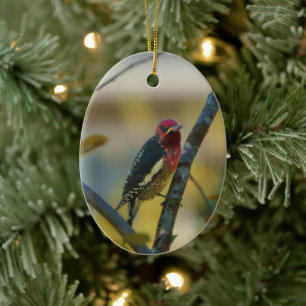 Adorno De Cerámica Chupador de pecho rojo regalo de fiesta