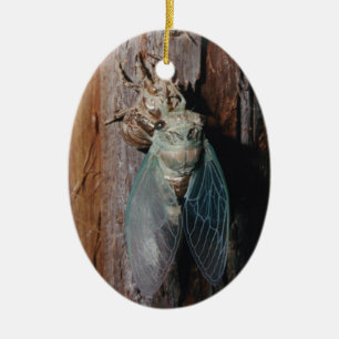 Adorno De Cerámica Cicada seca sus alas