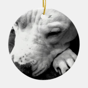 Adorno De Cerámica cicatriz de harry potter perro pit bull blanco