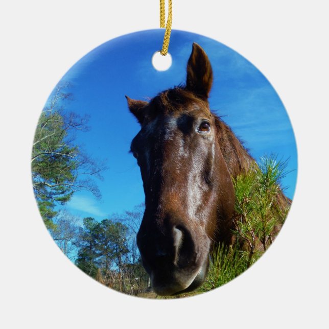 Adorno De Cerámica Cielo azul de caballo marrón y crema (Frente)