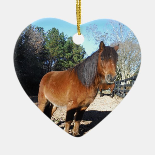 Adorno De Cerámica Cielo turquesa de pontón marrón (Frente)