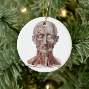 Adorno De Cerámica Ciencia de anatomía humana vintage, cabeza gargant