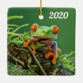 Adorno De Cerámica Cierre de una rana de árbol rojo en una rama