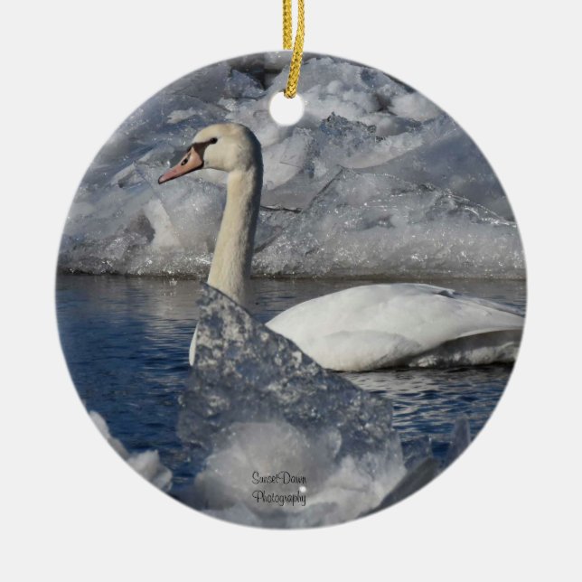 Adorno De Cerámica Cisne juvenil en río Icey (Frente)