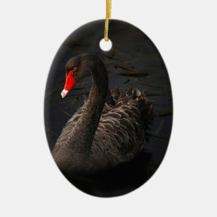 Adorno De Cerámica Cisne negro