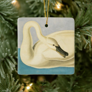 Adorno De Cerámica Cisne trompetero por John James Audubon, ave vinta