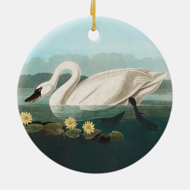 Adorno De Cerámica cisnes de agua blanca de cisne audubon (Atrás)