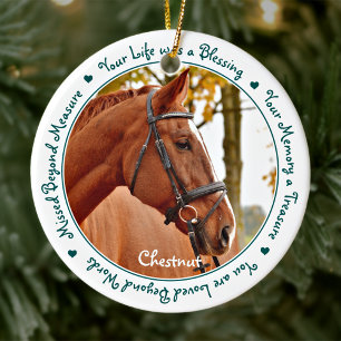 Adorno De Cerámica Cita de simpatía Pérdida de Caballo Keepsake Memor