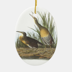Adorno De Cerámica Clapper Rail de Audubon