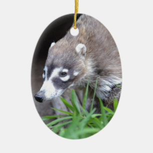 Adorno De Cerámica Coati de vagabundeo