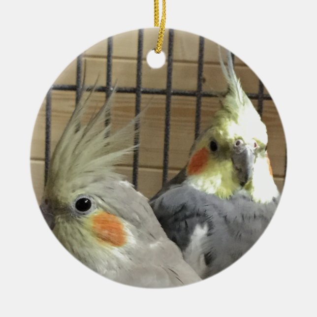 Adorno De Cerámica Cockatiels (Frente)
