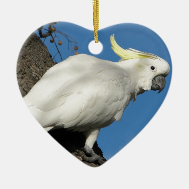 Adorno De Cerámica Cockatoo con cresta del azufre (Frente)
