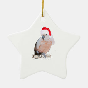 Adorno De Cerámica Cockatoo Santa