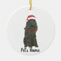 Cocker Spaniel personalizado (negro)