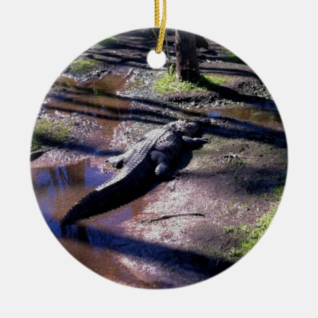 Adorno De Cerámica Cocodrilo de la Florida (Frente)