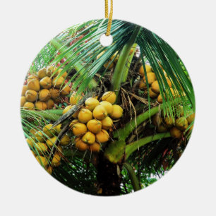 Adorno De Cerámica cocos en el árbol