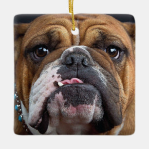 Adorno De Cerámica Cojín decorativo de Bulldog inglés