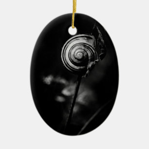 Adorno De Cerámica cola de caracol