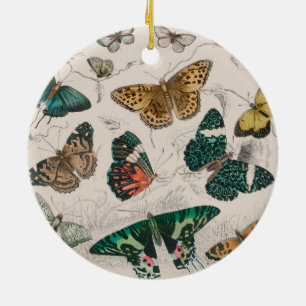 Adorno De Cerámica Colección de mariposa Mariposas antiguas