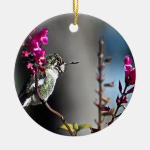 Adorno De Cerámica Colibrí