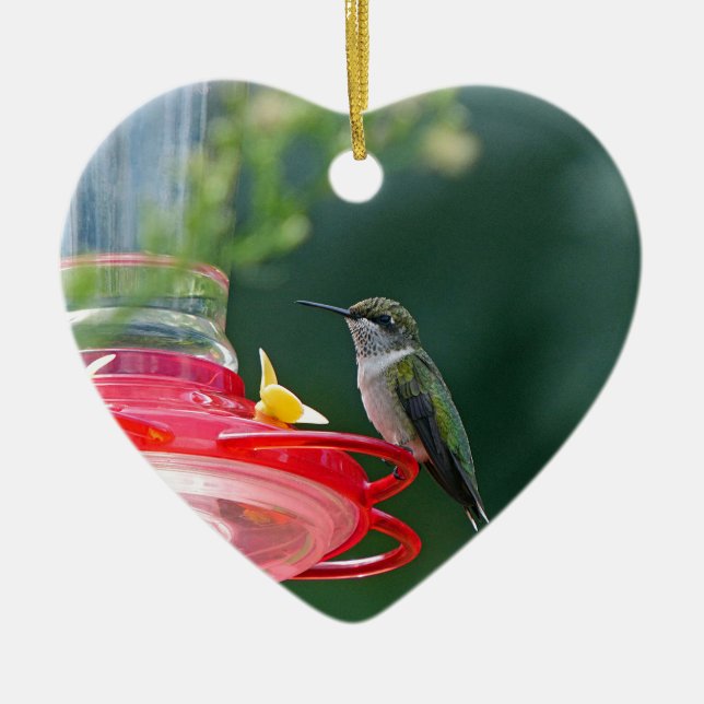 Adorno De Cerámica Colibrí (Frente)