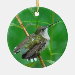 Adorno De Cerámica Colibrí con la extensión de las alas