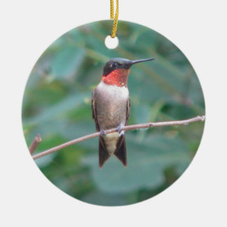 Adorno De Cerámica colibrí de la Rubí-garganta