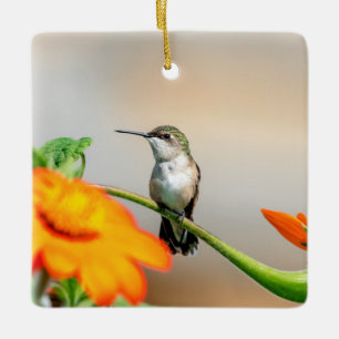 Adorno De Cerámica Colibrí en una planta en flor