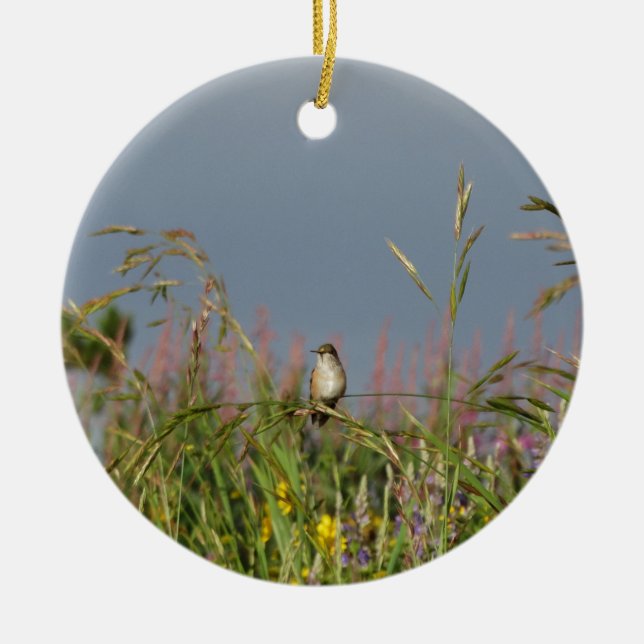 Adorno De Cerámica Colibrí gorda (Frente)