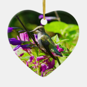 Adorno De Cerámica Colibrí sobre Menta de Colibrí Naturaleza Colorida