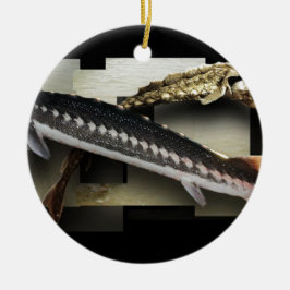 Adorno De Cerámica Collage radiado del esturión 3D