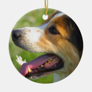 Adorno De Cerámica Collie de borde