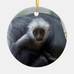 Adorno De Cerámica Colobus polykomos